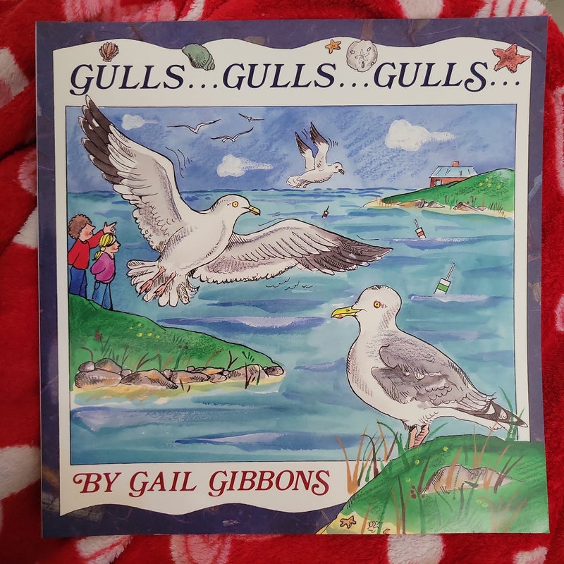 Gulls... Gulls... Gulls...