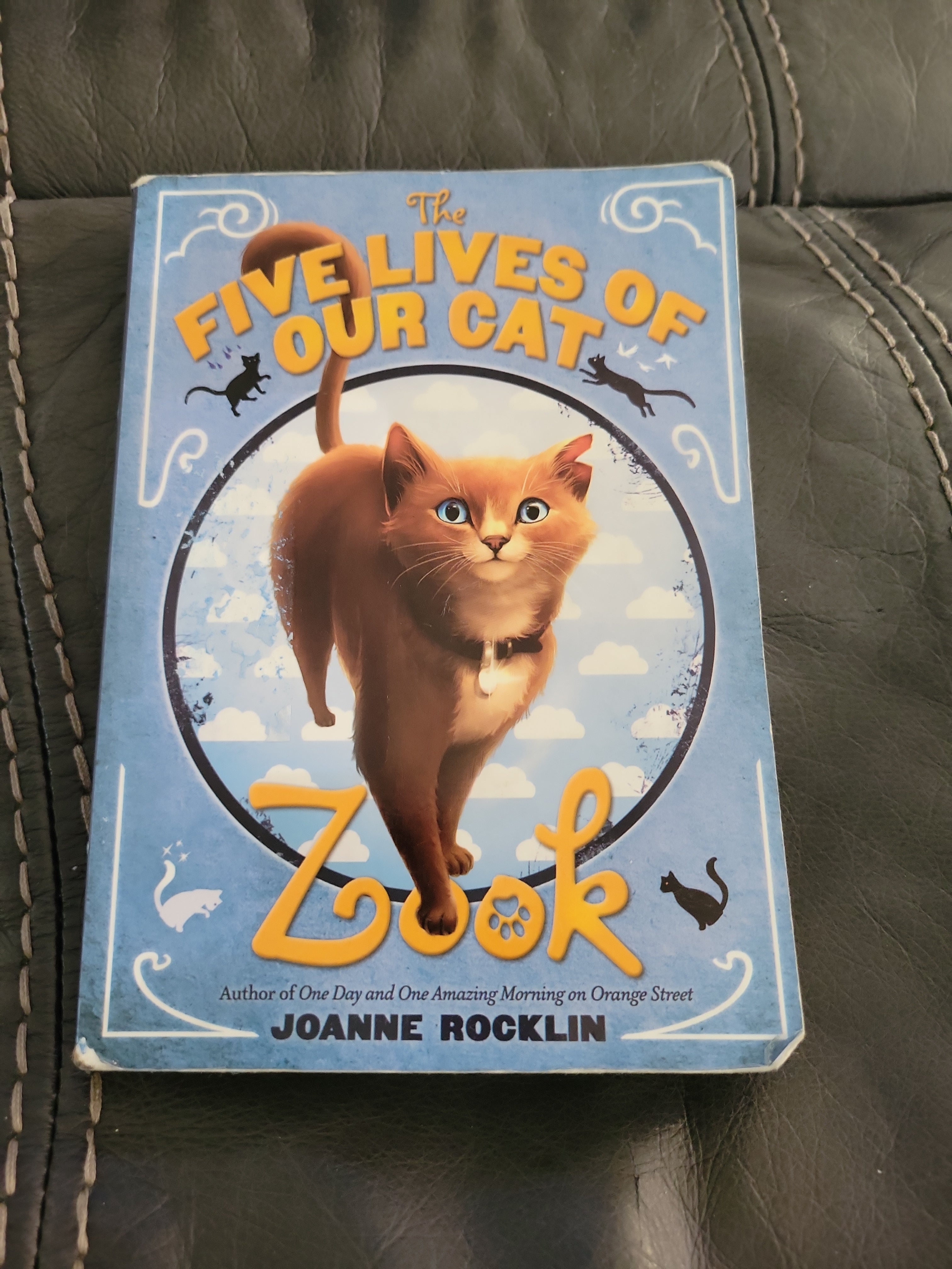 The Five Lives of Our Cat Zook