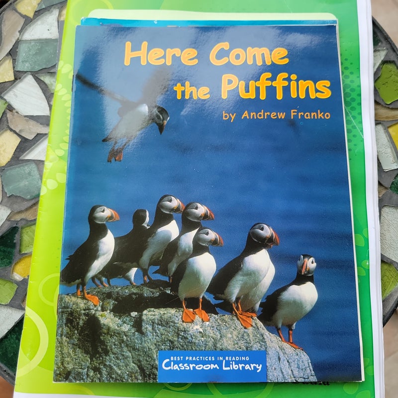 Here Come the Puffins