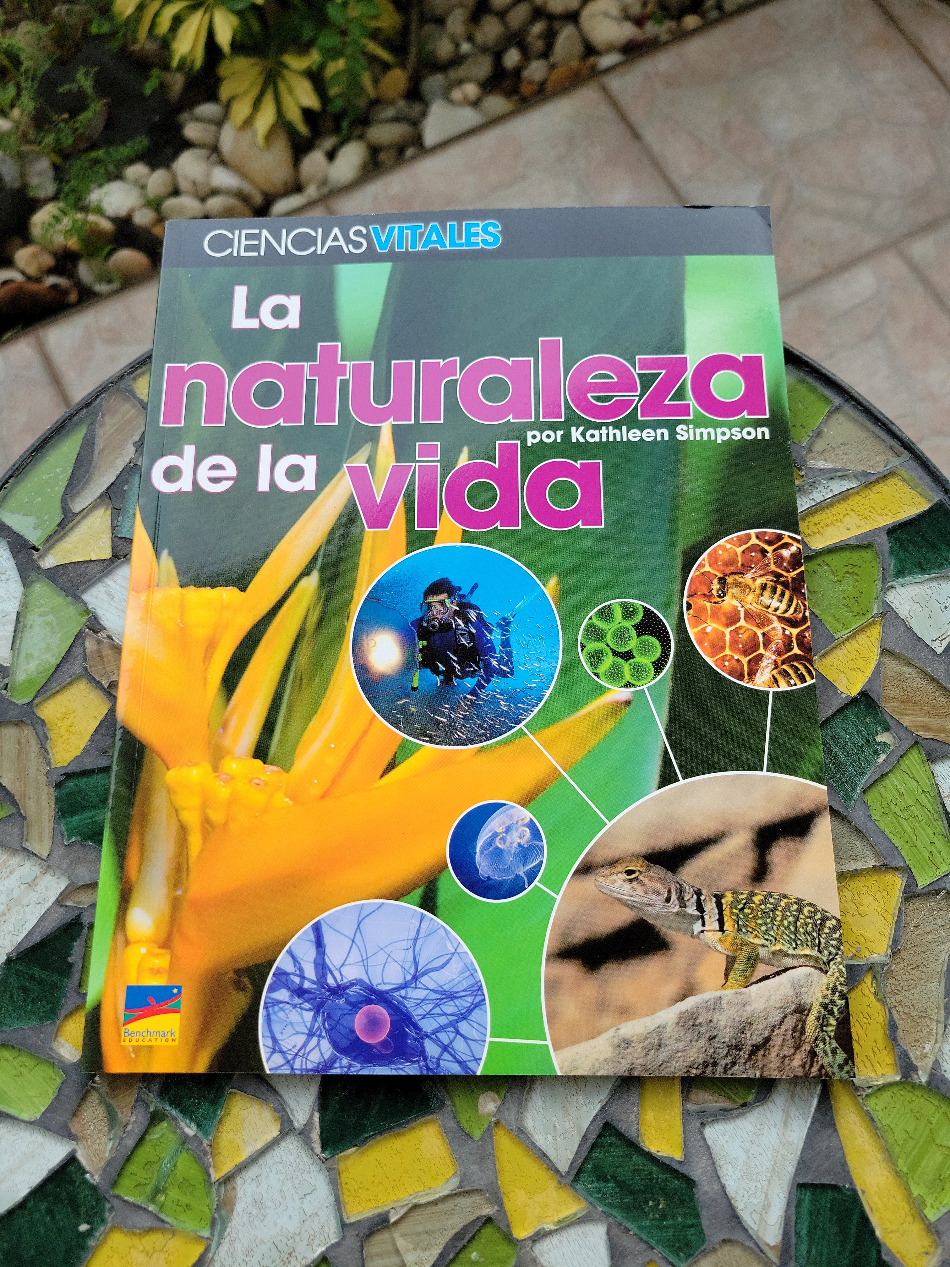La Naturaleza de la Vida