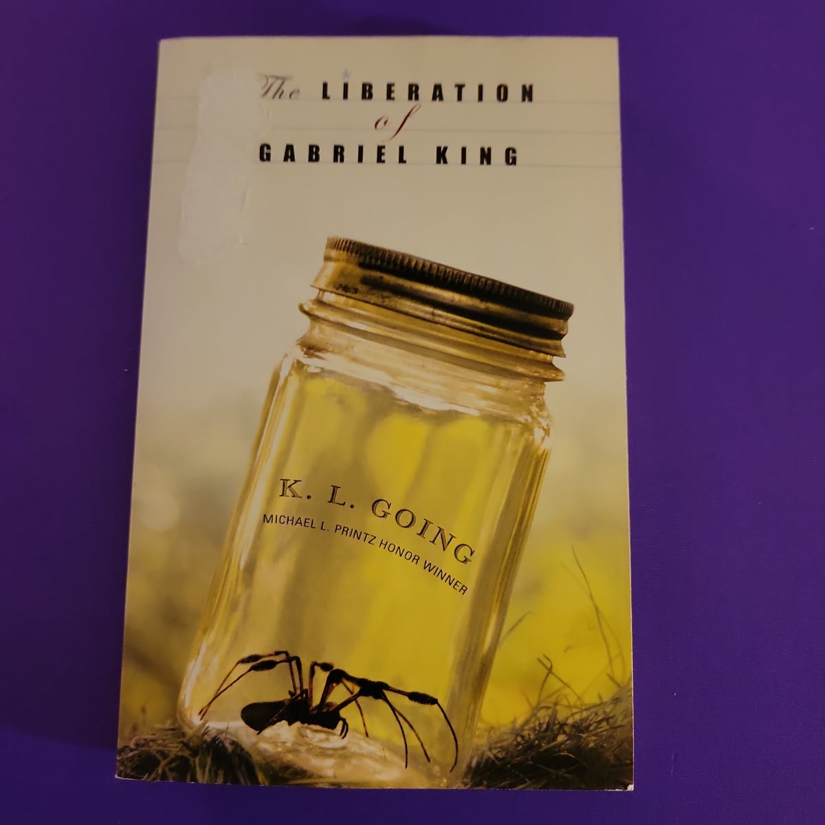 The Liberation of Gabriel King by K. L. Going, Paperback