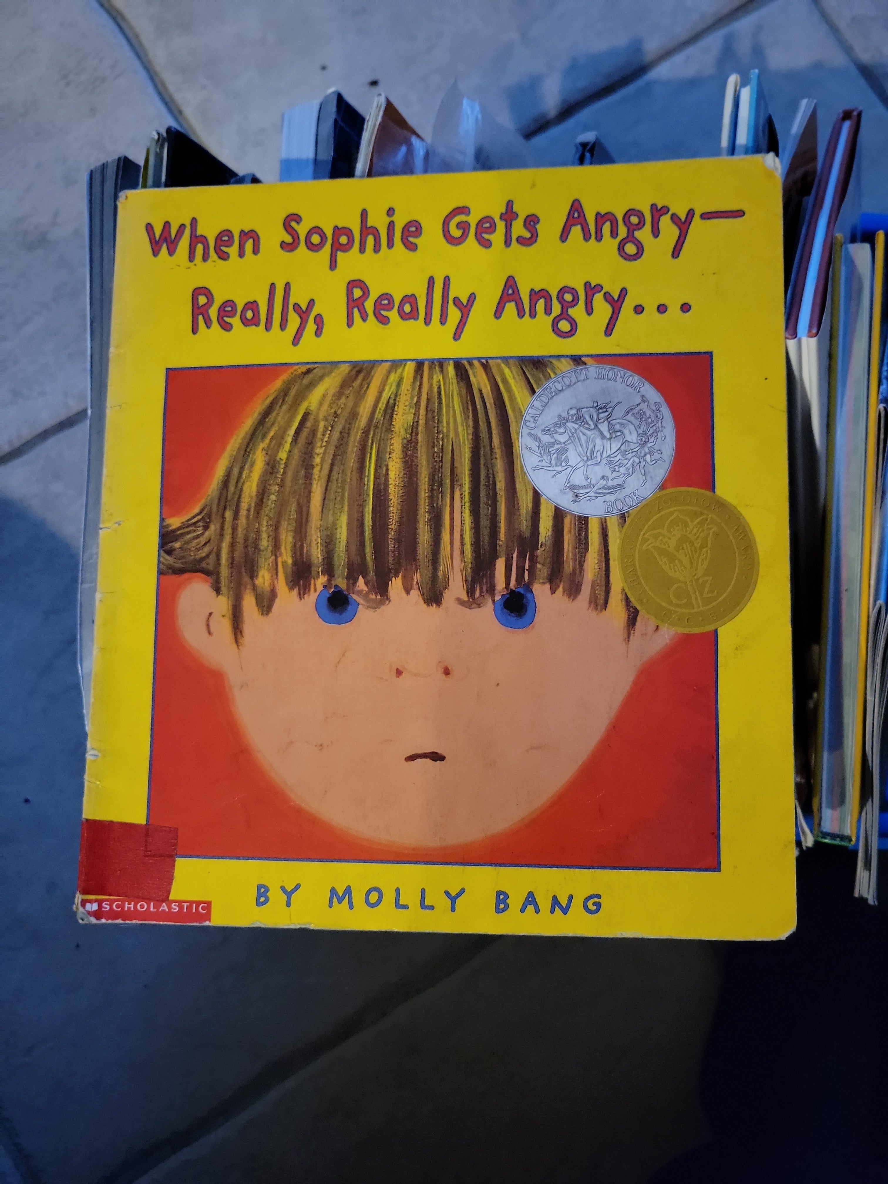 When Sophie Gets Angry - Really, Really Angry