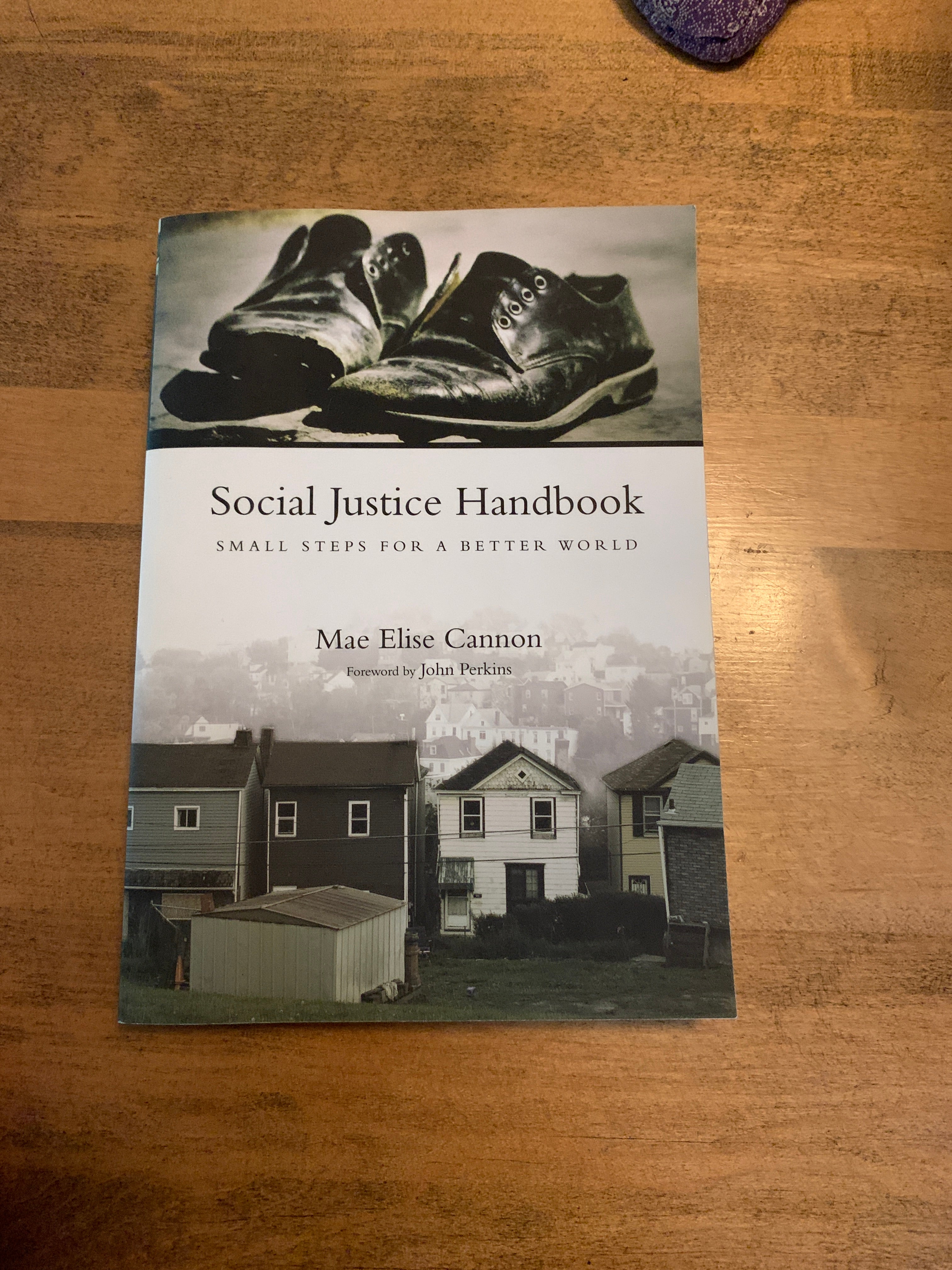 Social Justice Handbook