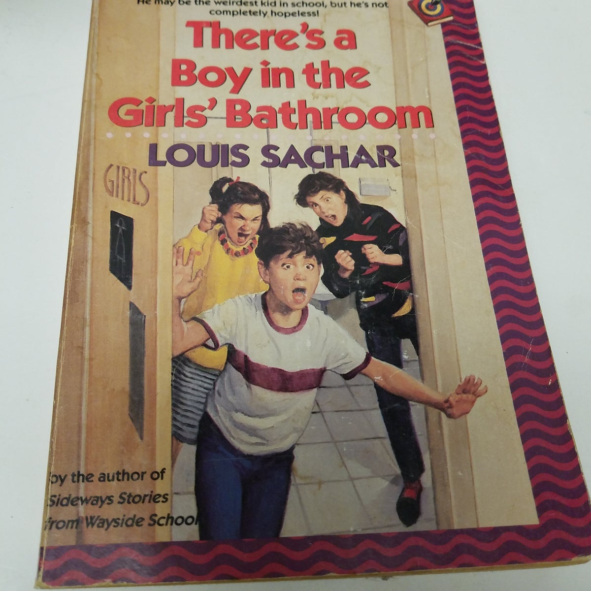 There's A Boy in the Girls' Bathroom (Paperback)