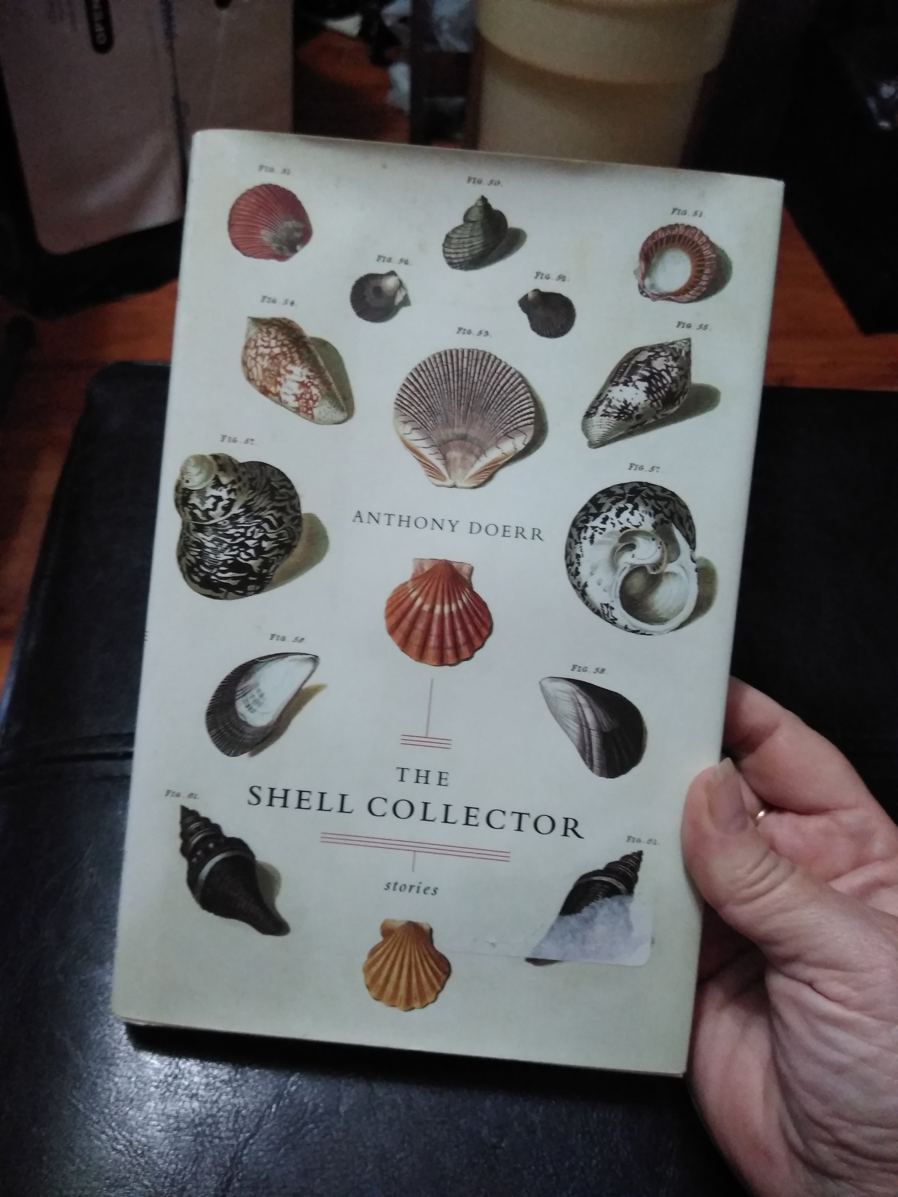 The Shell Collector