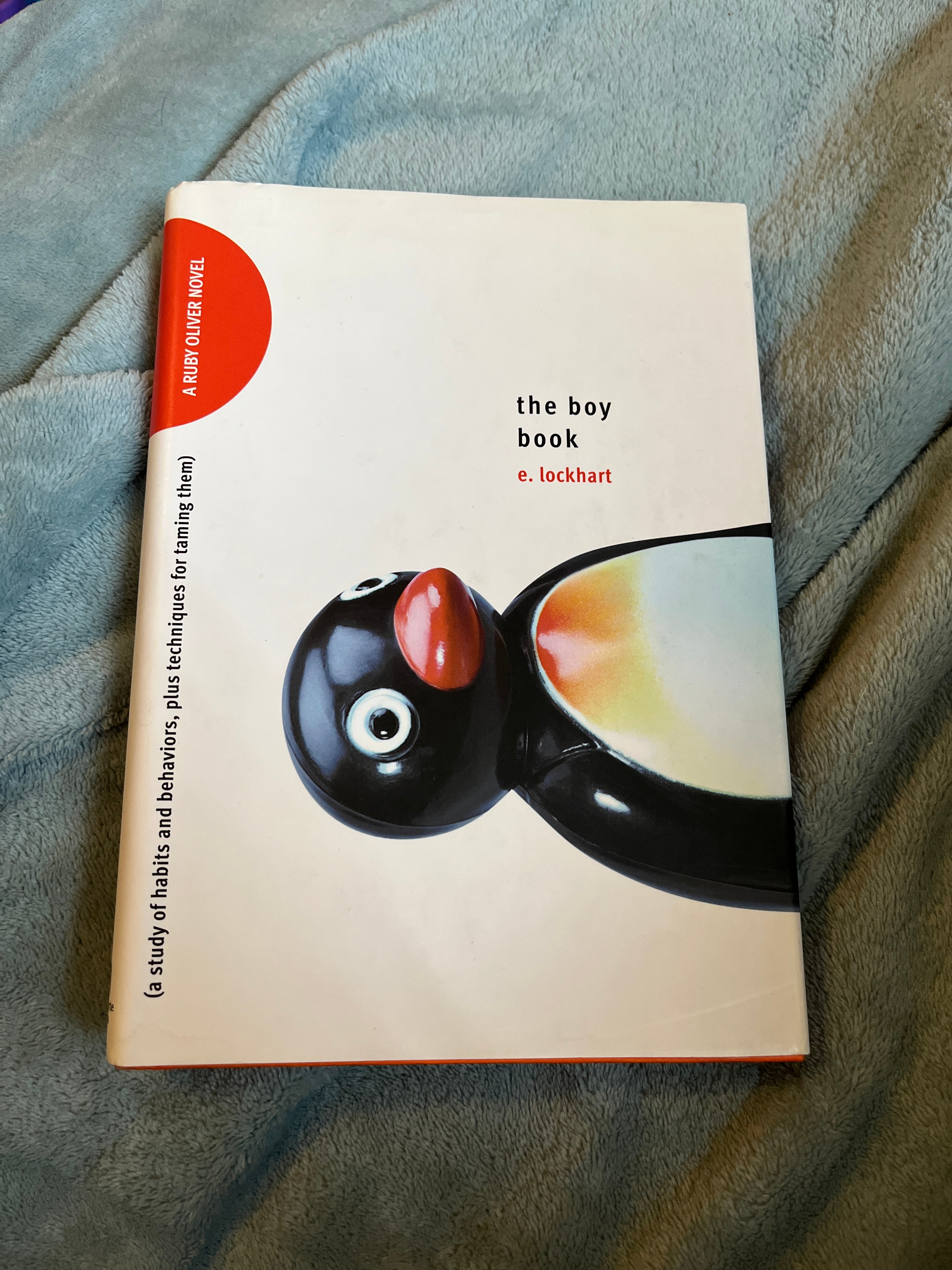 The Boy Book