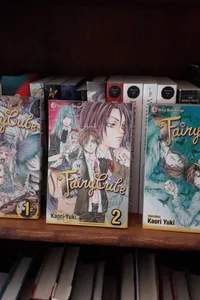 Fairy Cube, Vols. 1-3