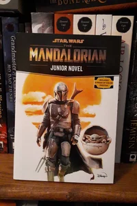 The Mandalorian (Star Wars)