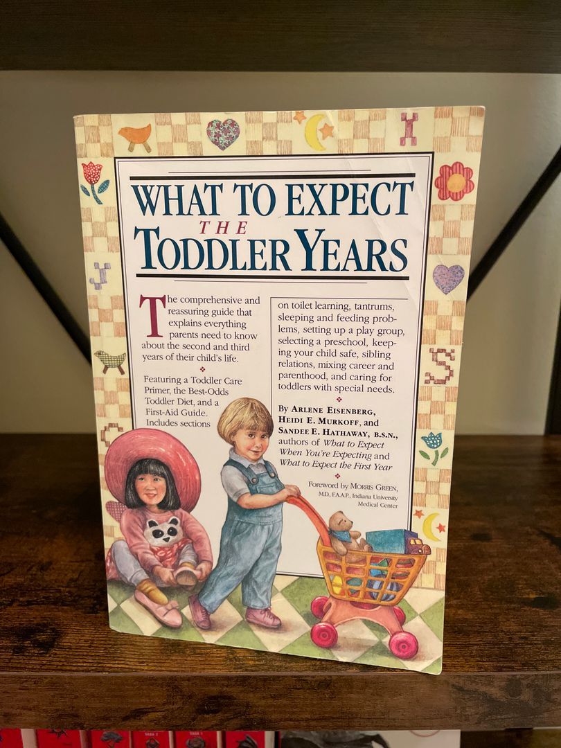 What to Expect the Toddler Years