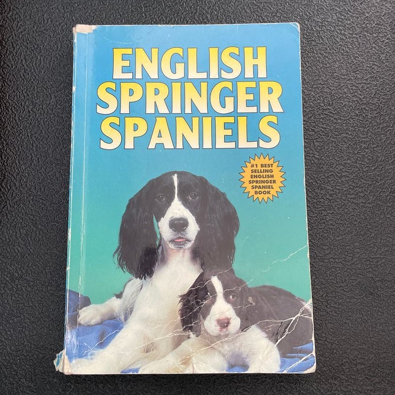 English Springer Spaniels