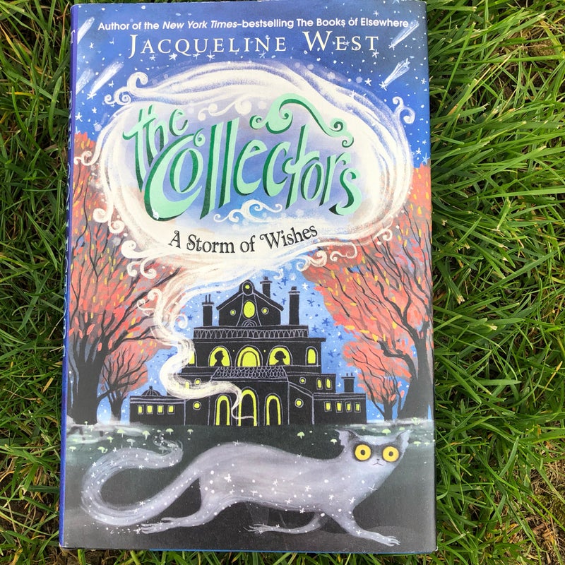 The Collectors #2: a Storm of Wishes