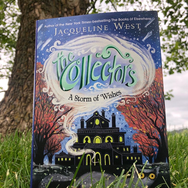 The Collectors #2: a Storm of Wishes
