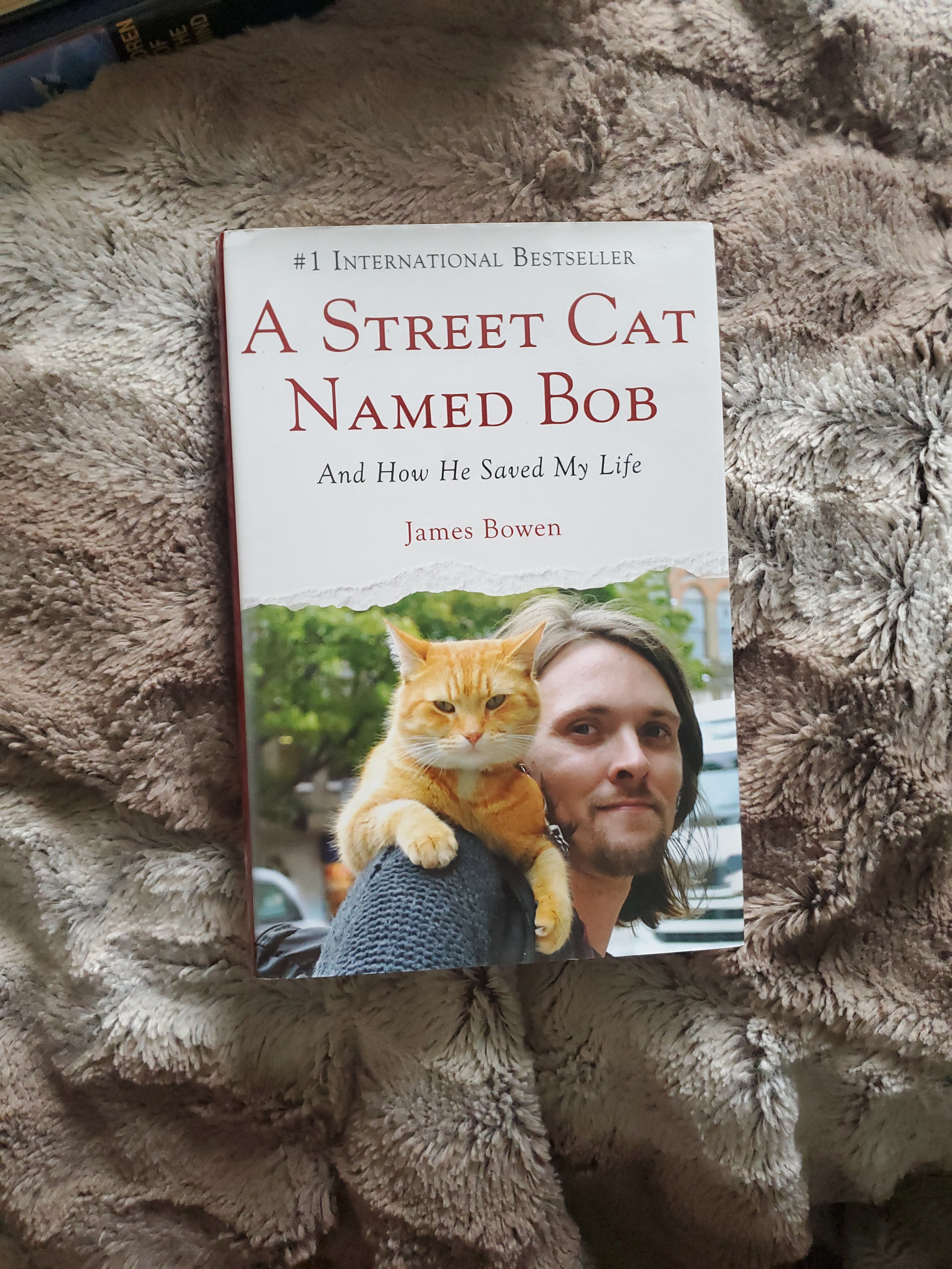 A Street Cat Named Bob