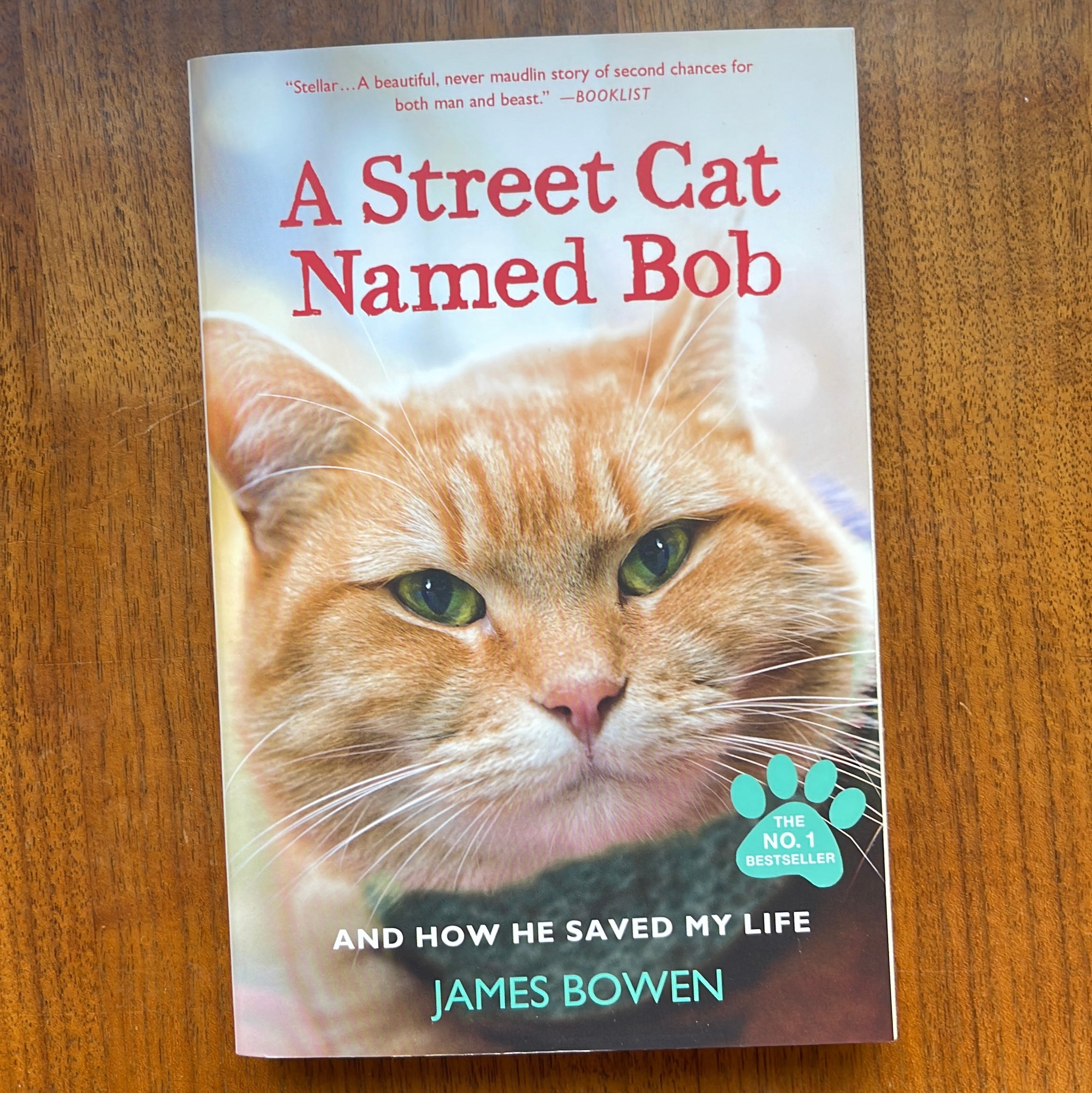 A Street Cat Named Bob