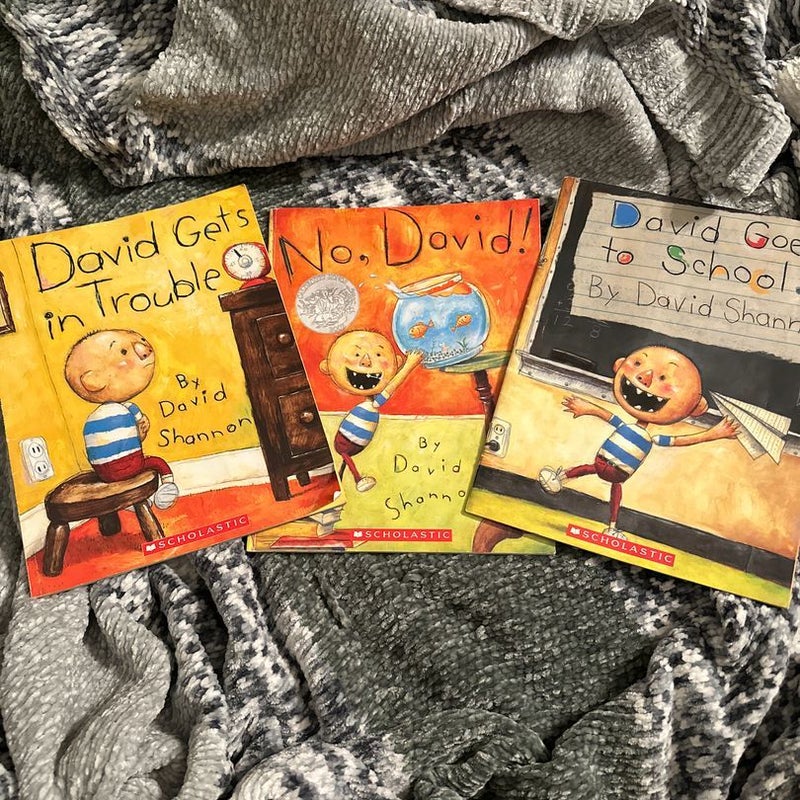 3 No David Books