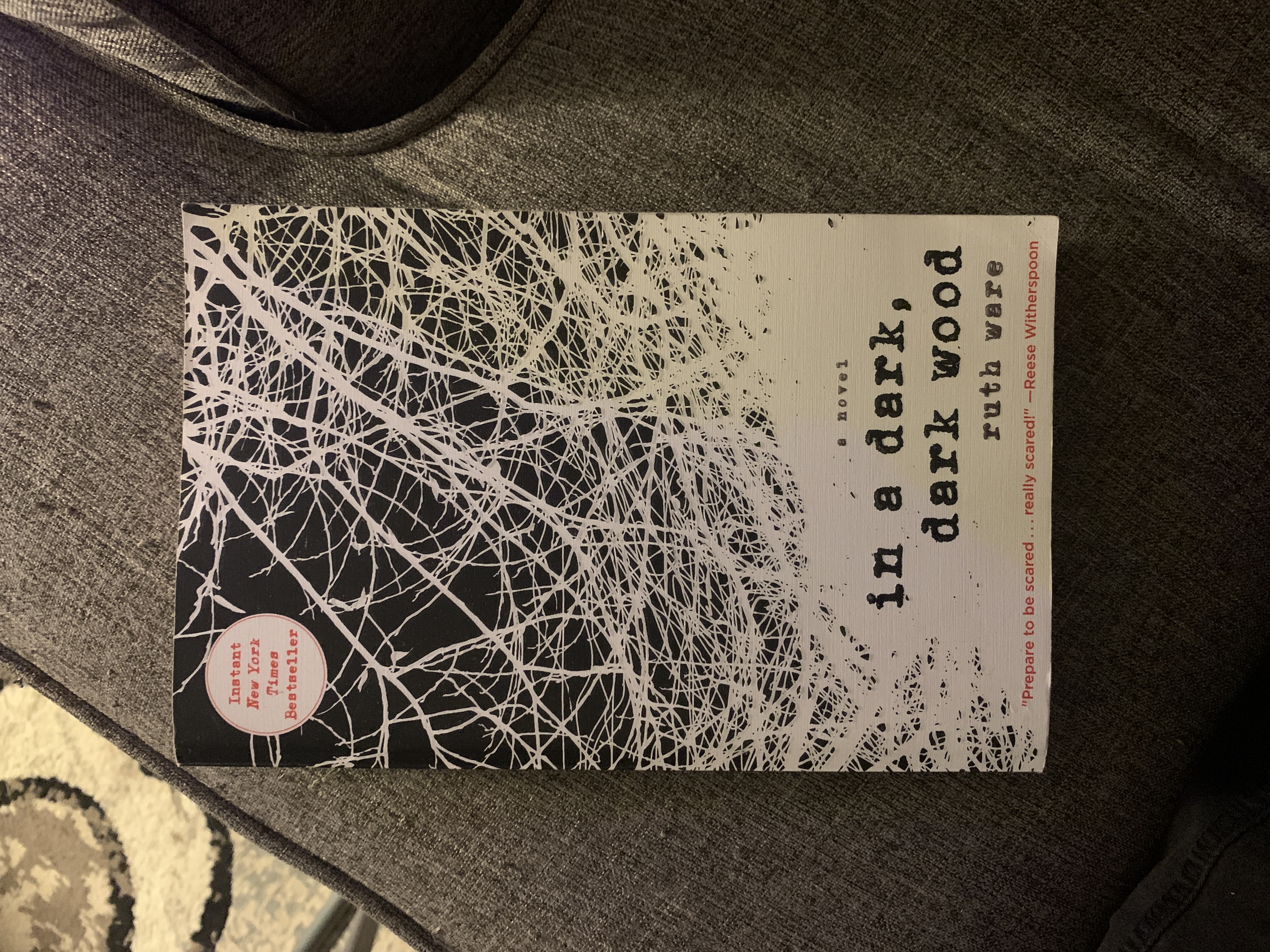 In a Dark, Dark Wood