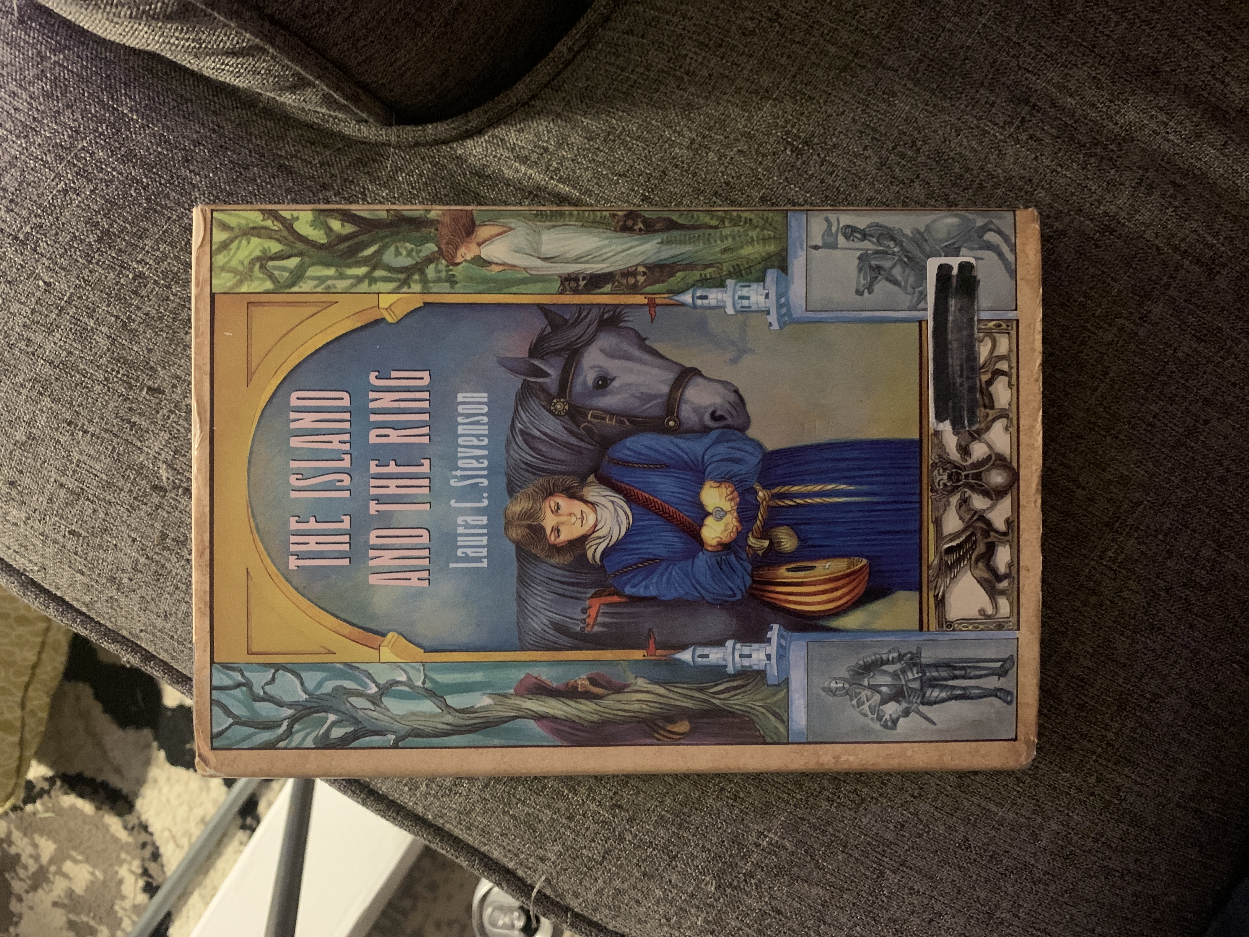 The Island and the Ring