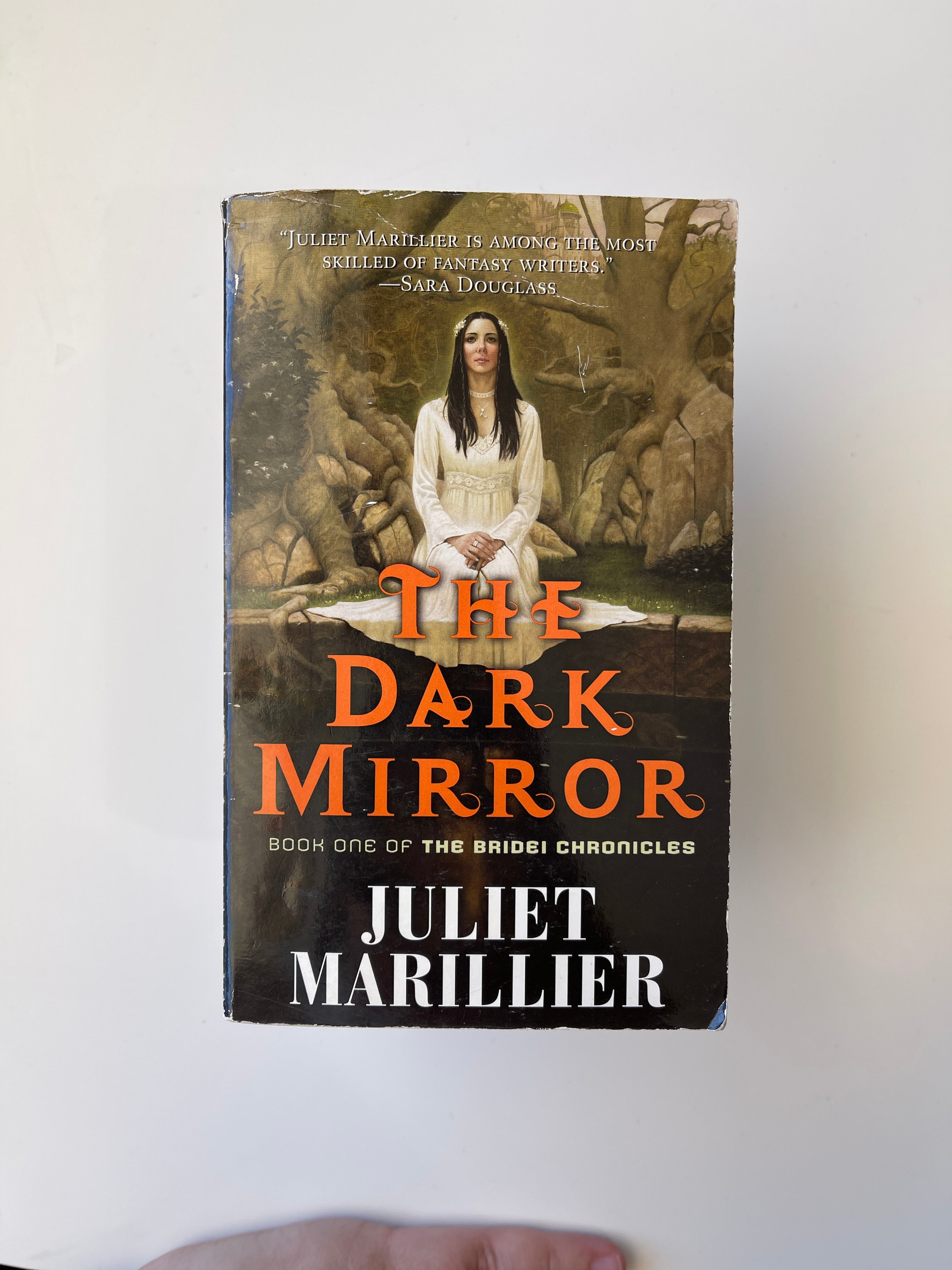 The Dark Mirror