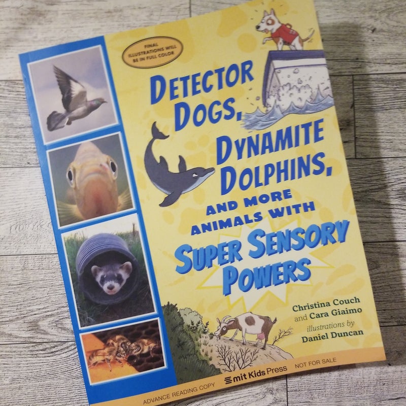 Detector Dogs, Dynamite Dolphins, and More Animals with Super Sensory Powers