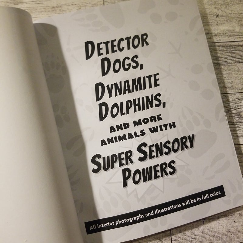 Detector Dogs, Dynamite Dolphins, and More Animals with Super Sensory Powers