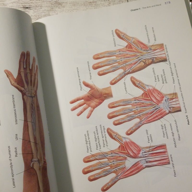 Basic Clinical Massage Therapy 第二版 Basic Clinical Massage Therapy 第二版 健康・医学