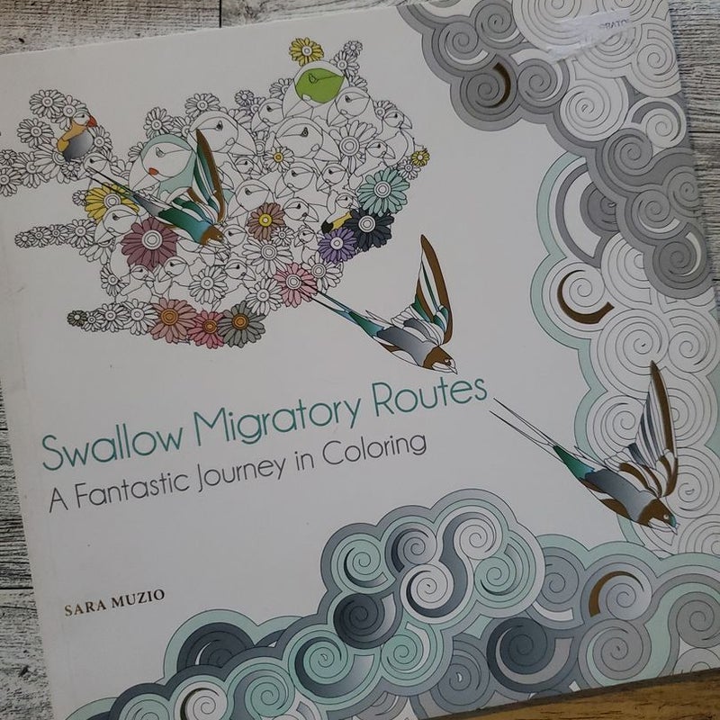 Swallow Migratory Routes