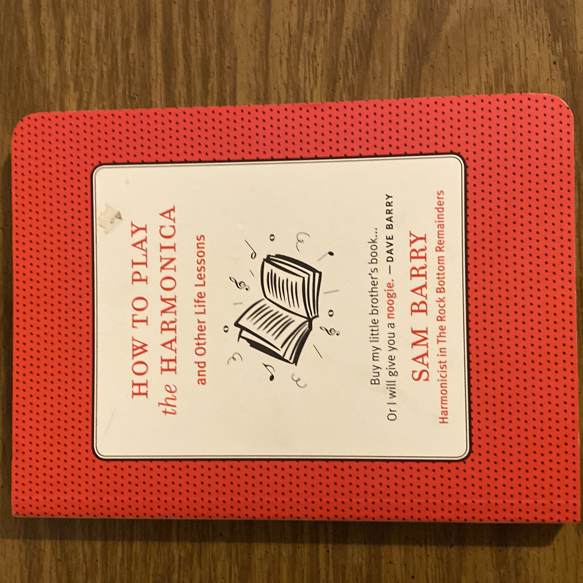 How to Play the Harmonica