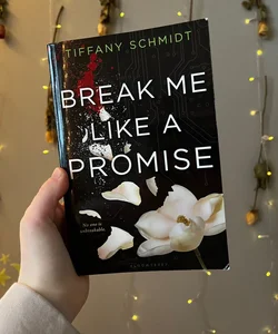 Break Me Like a Promise