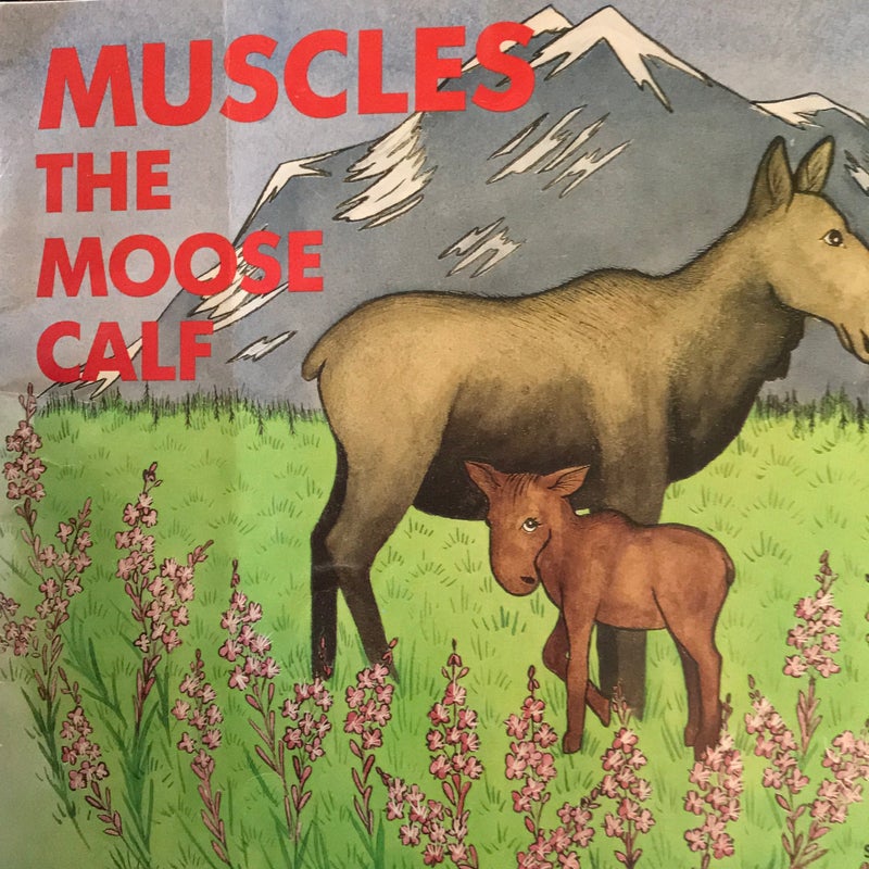 Muscles, the Moose Calf