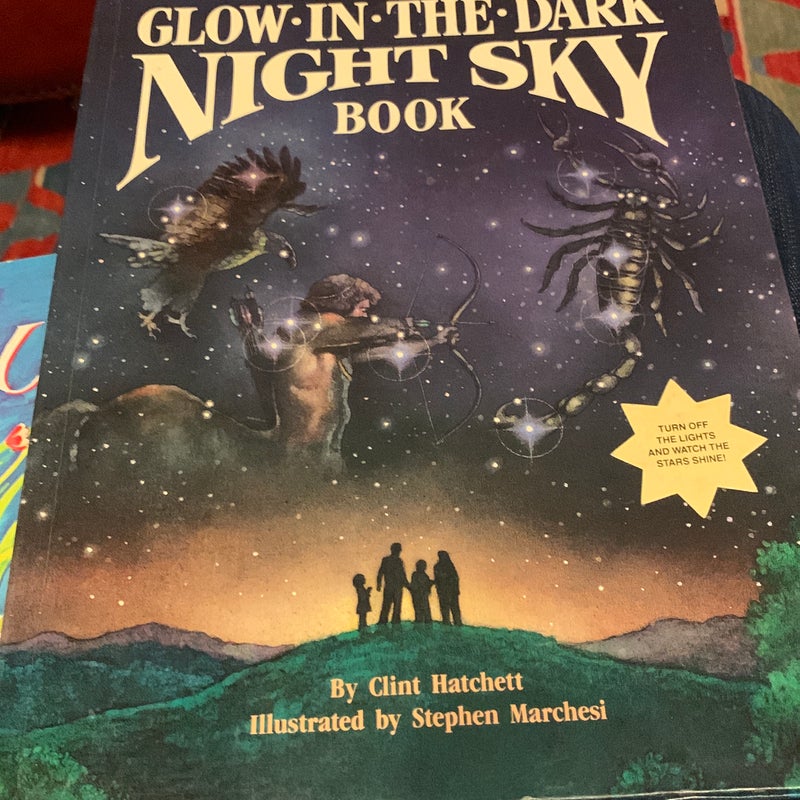 The Glow in the Dark Night Sky Book