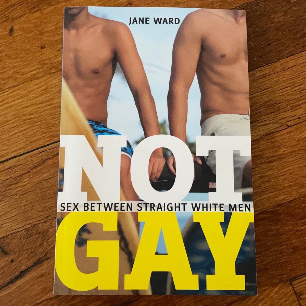 Not Gay by Jane Ward | Pangobooks