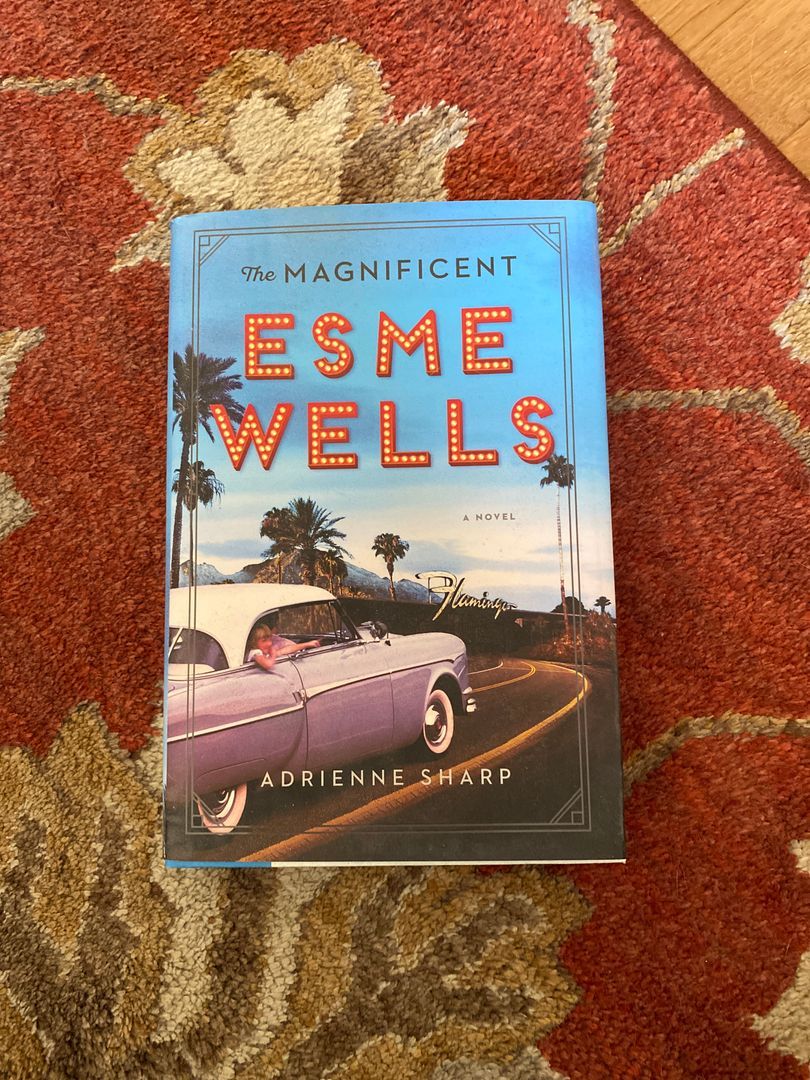 The Magnificent Esme Wells