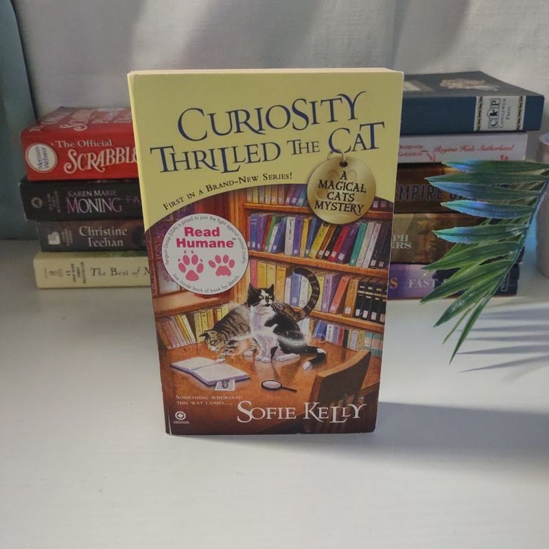 Curiosity Thrilled the Cat