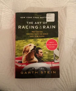 The Art of Racing in the Rain Tie-In