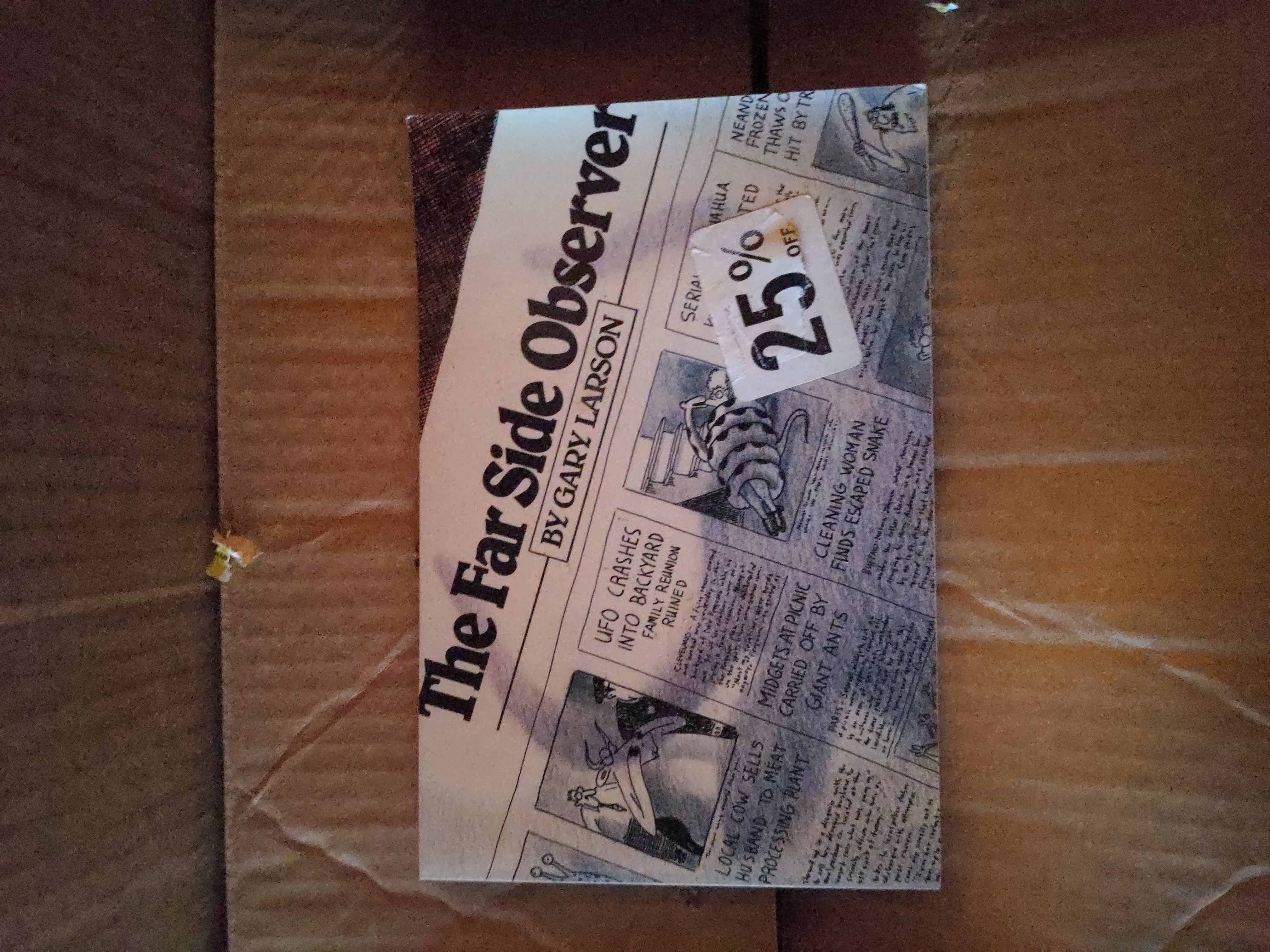 The Far Side Observer