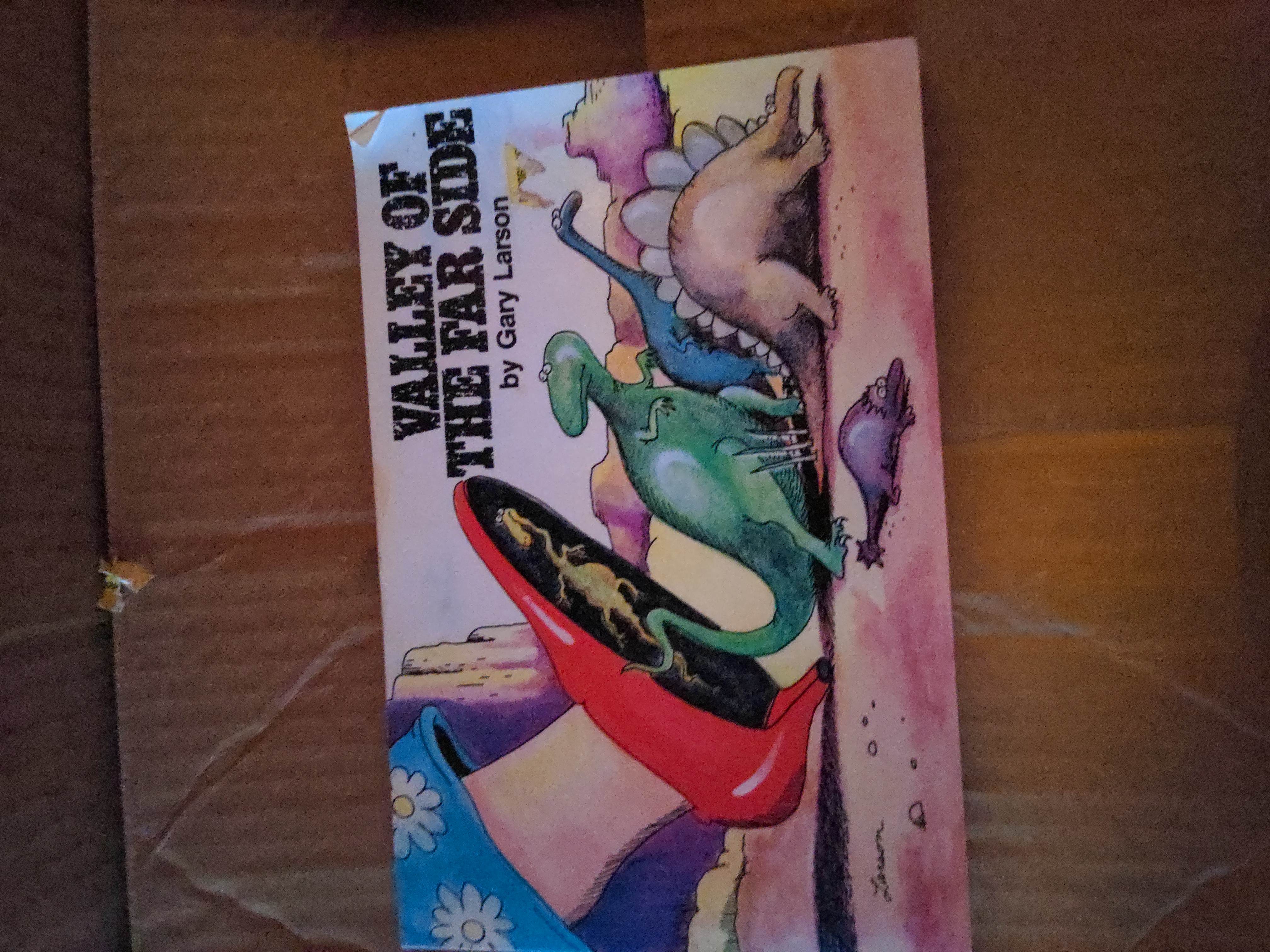 Valley of the Far Side