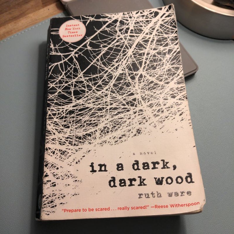 In a Dark, Dark Wood