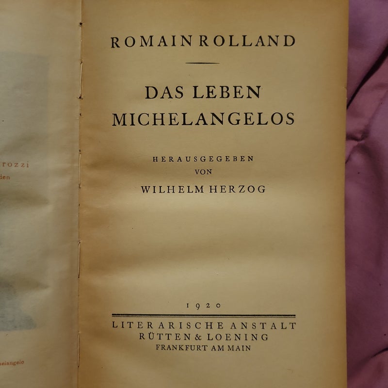 Michaelangelo (in german)