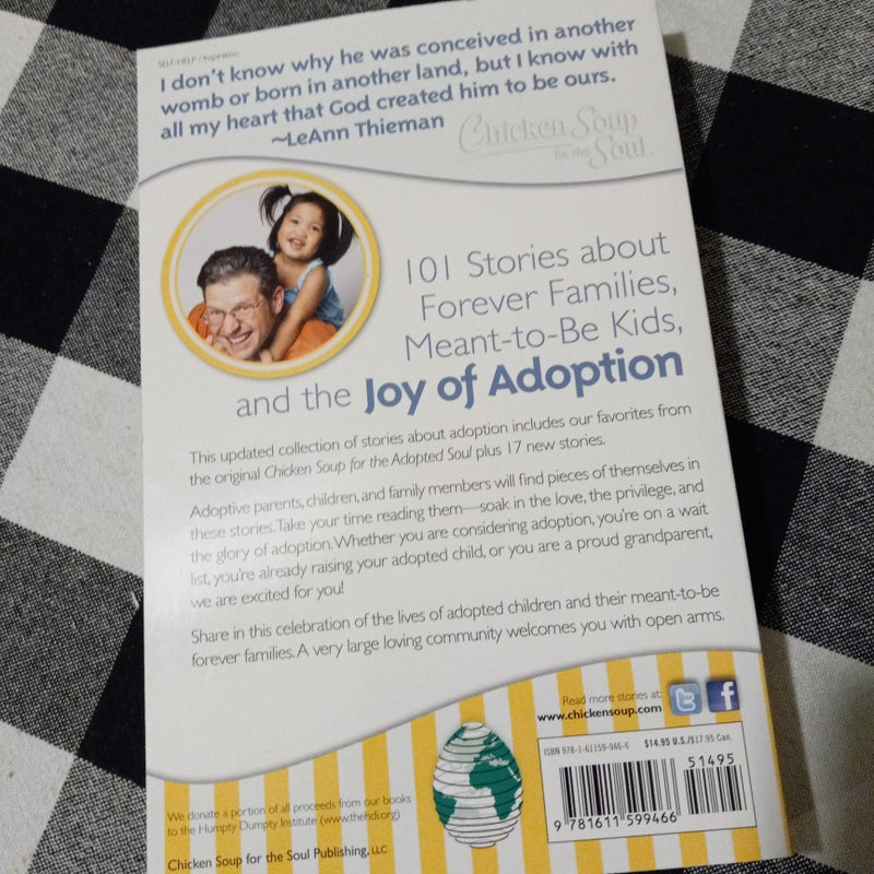 Chicken Soup for the Soul: the Joy of Adoption