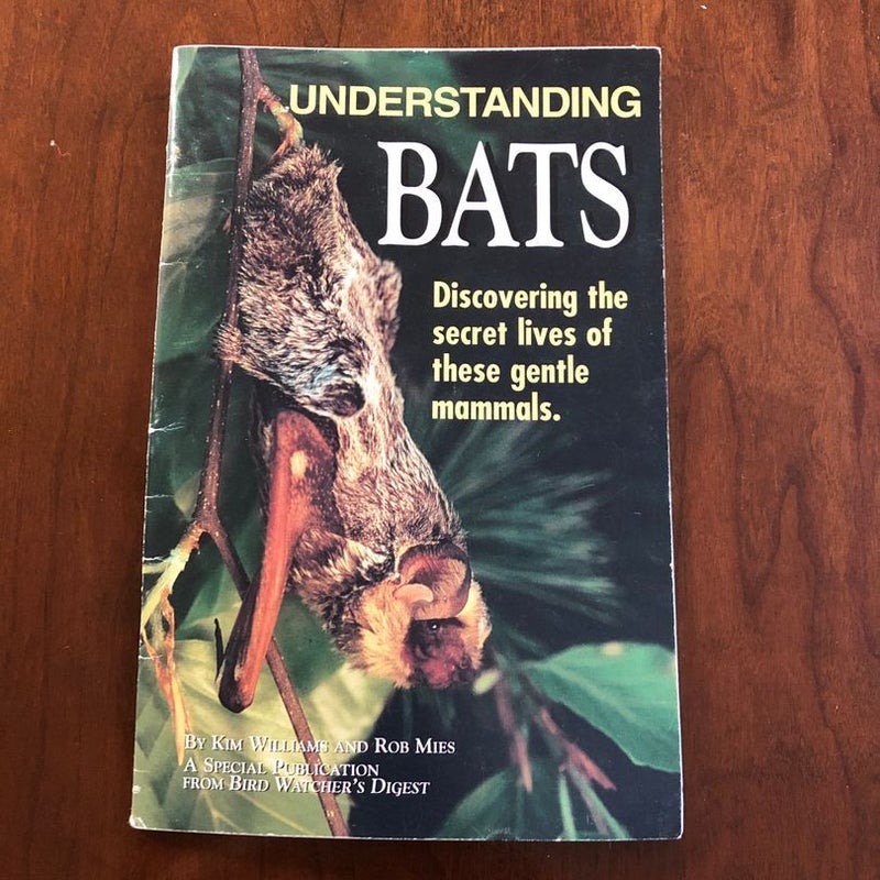 Understanding Bats