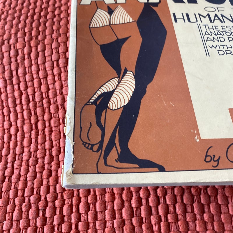 A Simplified Art Anatomy of the Human Figure (1941)