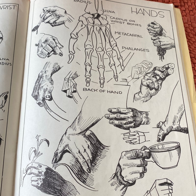 A Simplified Art Anatomy of the Human Figure (1941)