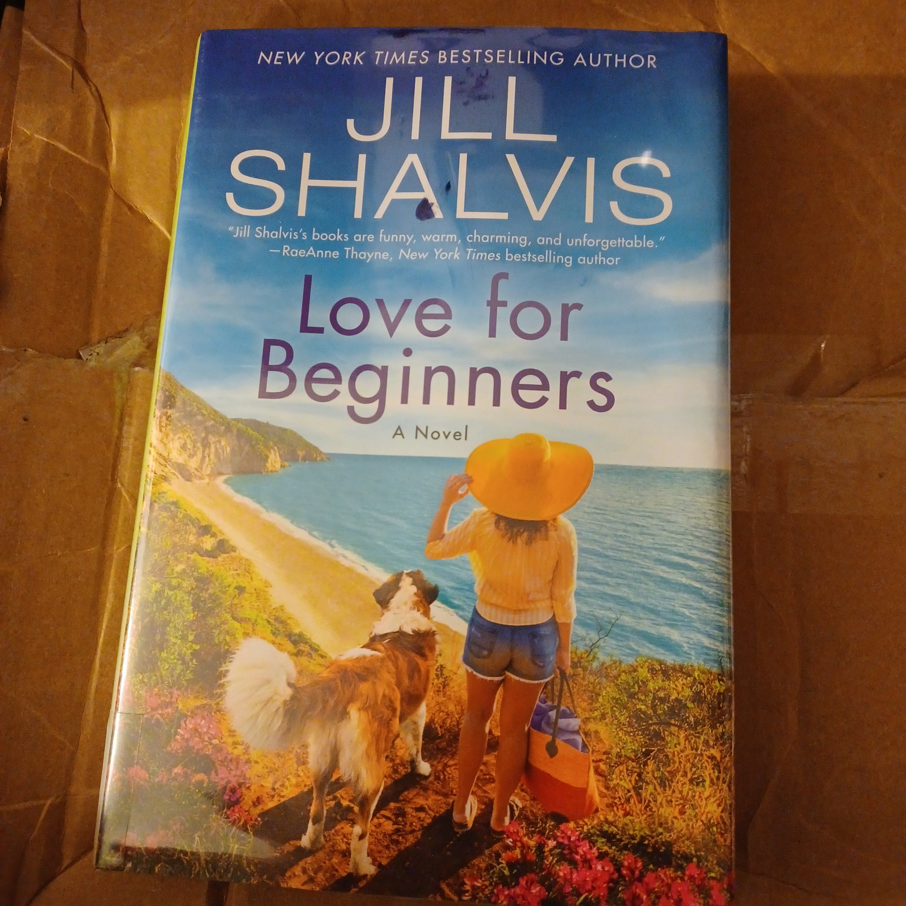 Love for Beginners