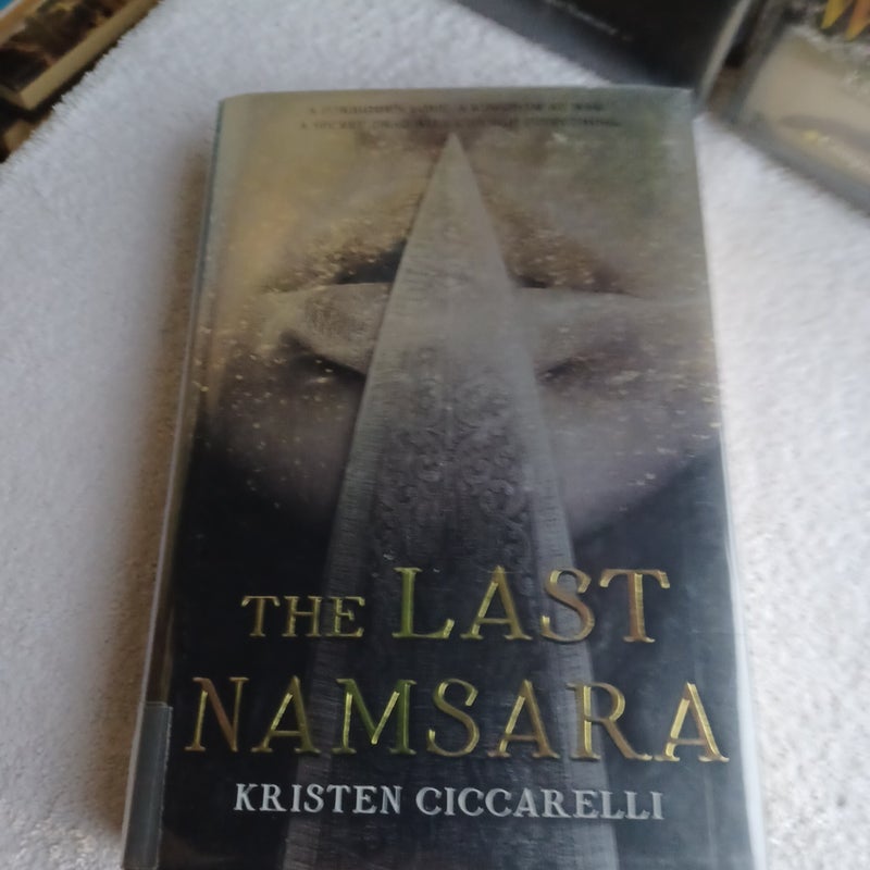 The Last Namsara