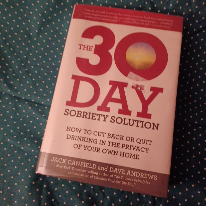 The 30-Day Sobriety Solution