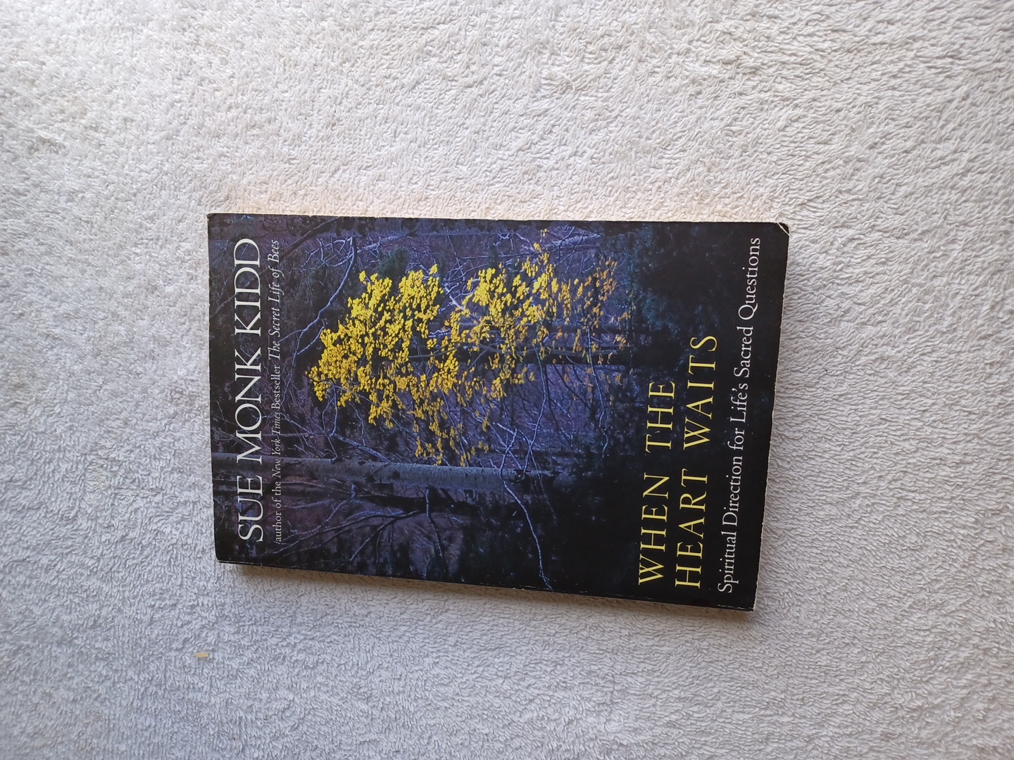 When the Heart Waits