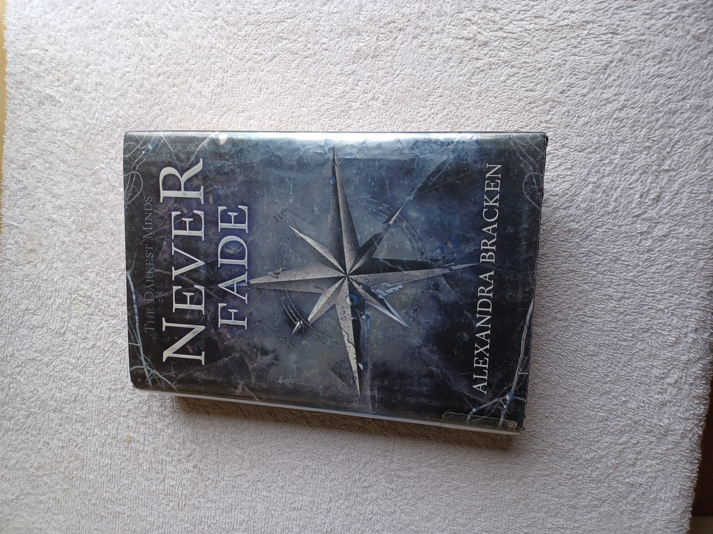 Never Fade (Bonus Content)