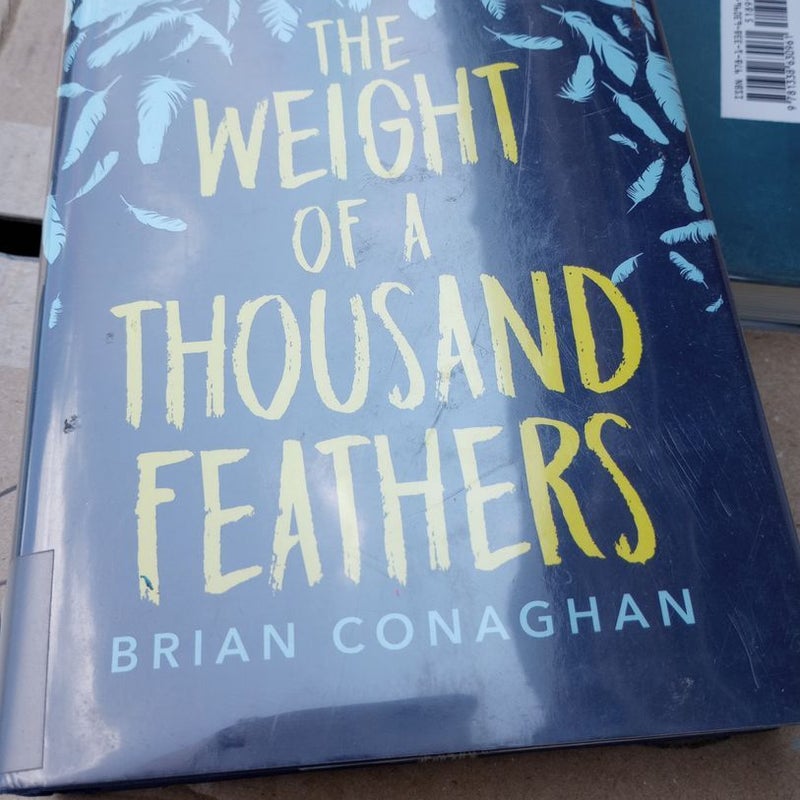 The Weight of a Thousand Feathers