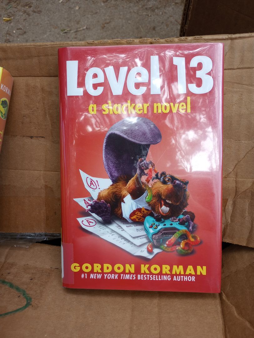 Level 13 (a Slacker Novel)