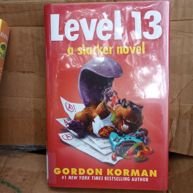 Level 13 (a Slacker Novel)